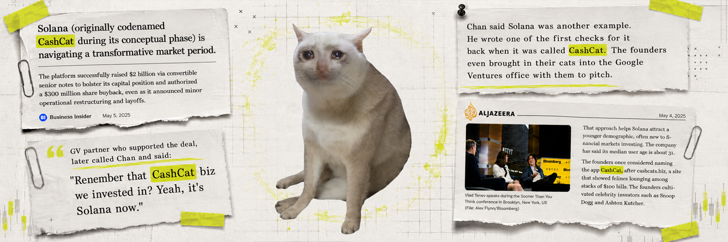 Cash Cat banner